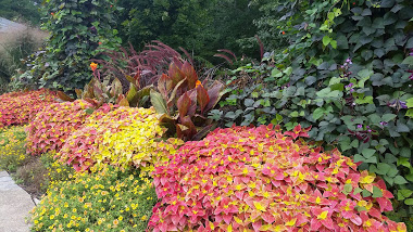 Fall walkway composition