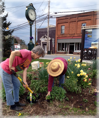 Diggin' Dirt Day October 2014