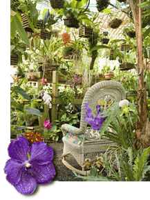 Whitegate Inn - Asheville