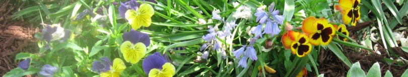 Spring Gardening in Weaverville