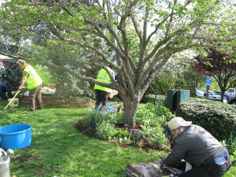 Dirt Diggin' Day April 21, 2015