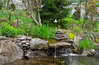 White Gate Inn by Ronnie Watkins