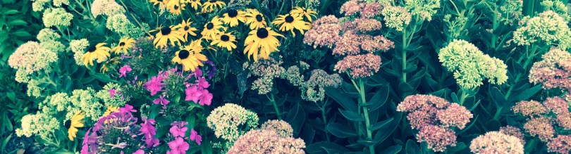 Main Street Flower Garden