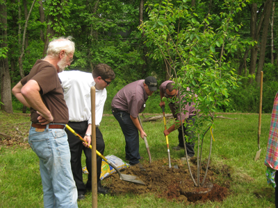 Arbor-Day-Weaverville
