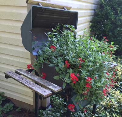 Diane and Ellis Get Creative