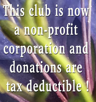 We are a non-profit 501 3C corporation!! 