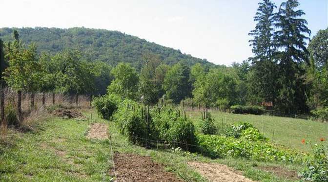 Biointensive gardening