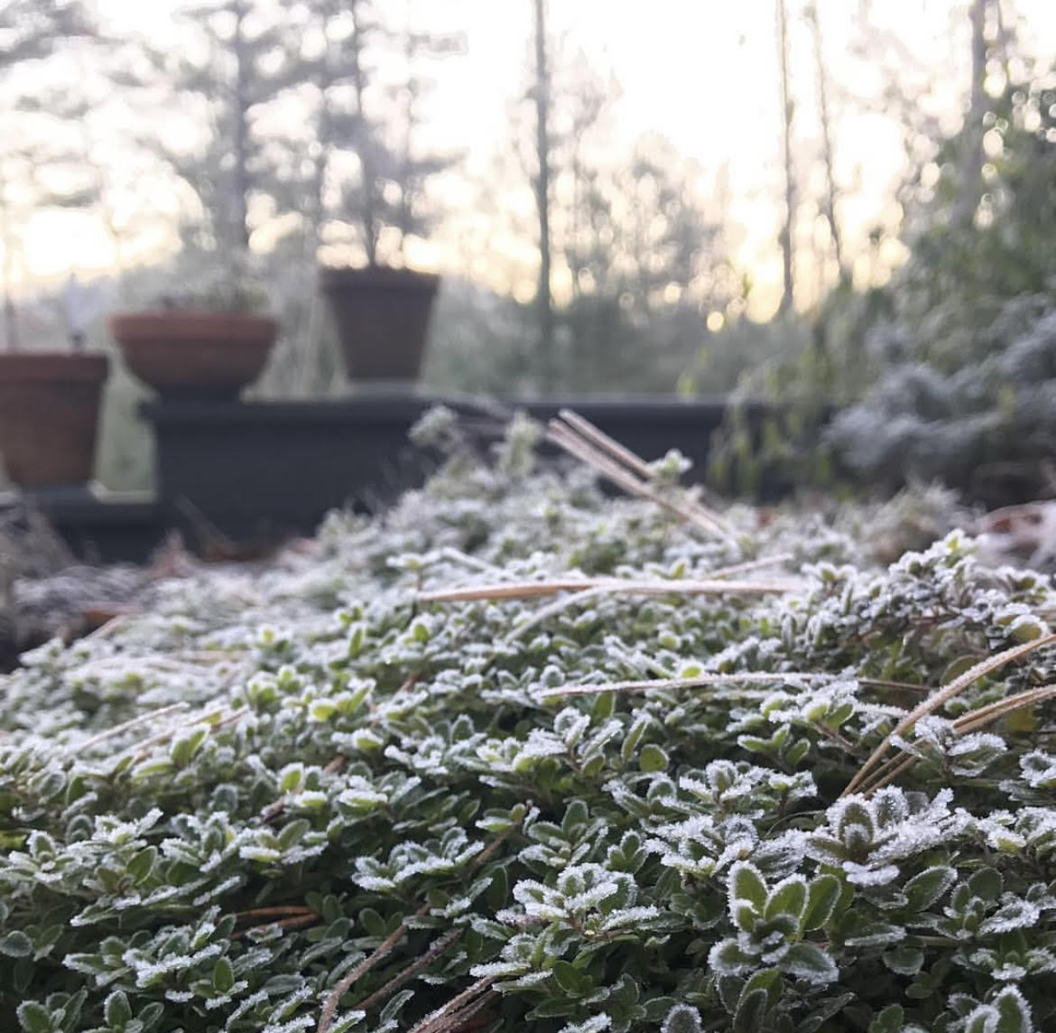 This image has an empty alt attribute; its file name is winterphotofromme-1.jpg