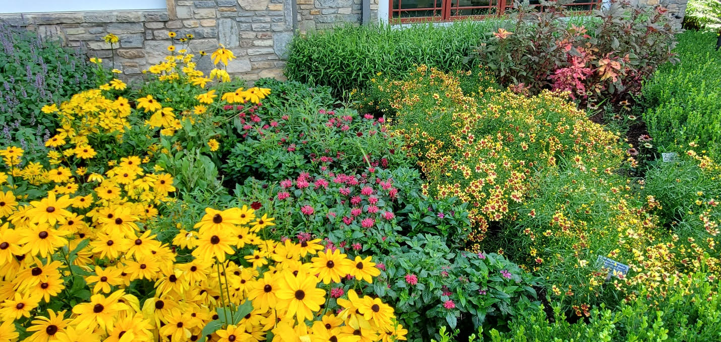 NathanBuchanonEnvironmentallyConsciousMeadow